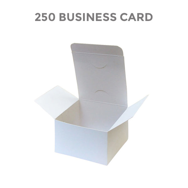 250 BUSINESS CARD BOX